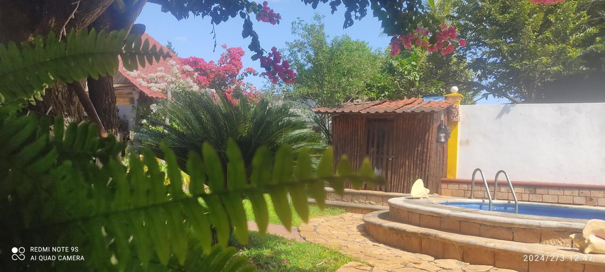 Quinta Rosita Bed & Breakfast Ticul Exterior photo