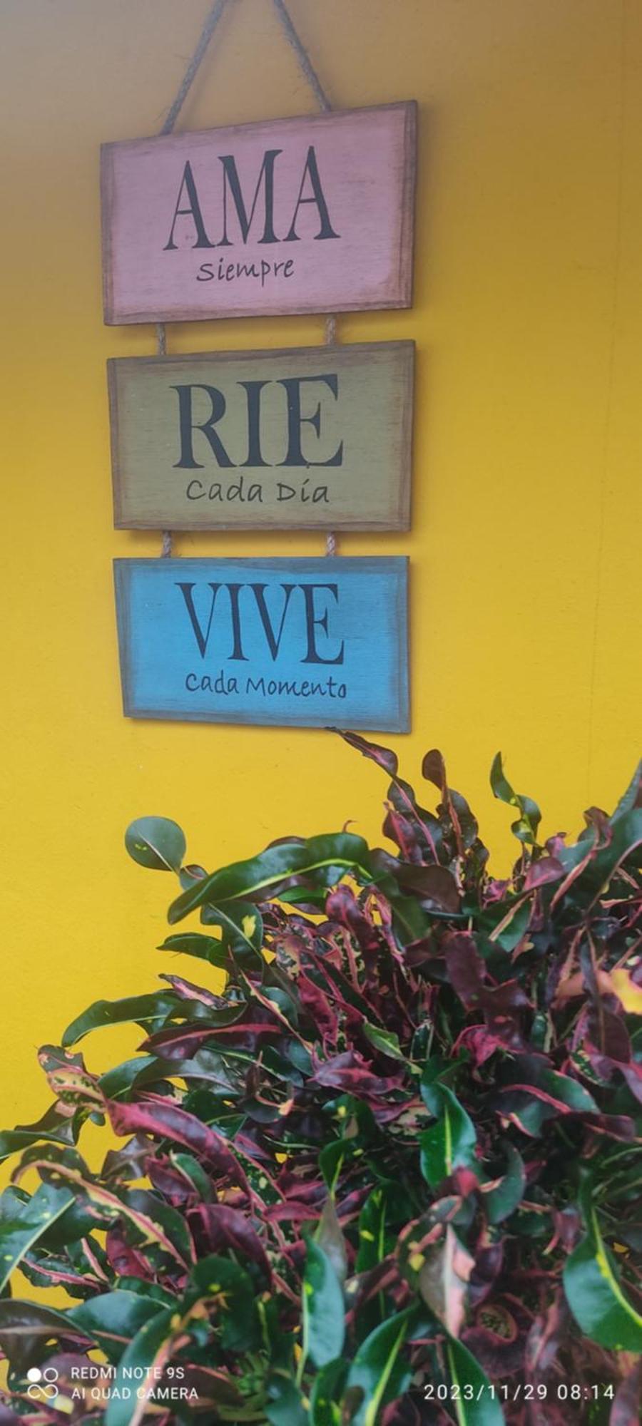 Quinta Rosita Bed & Breakfast Ticul Exterior photo
