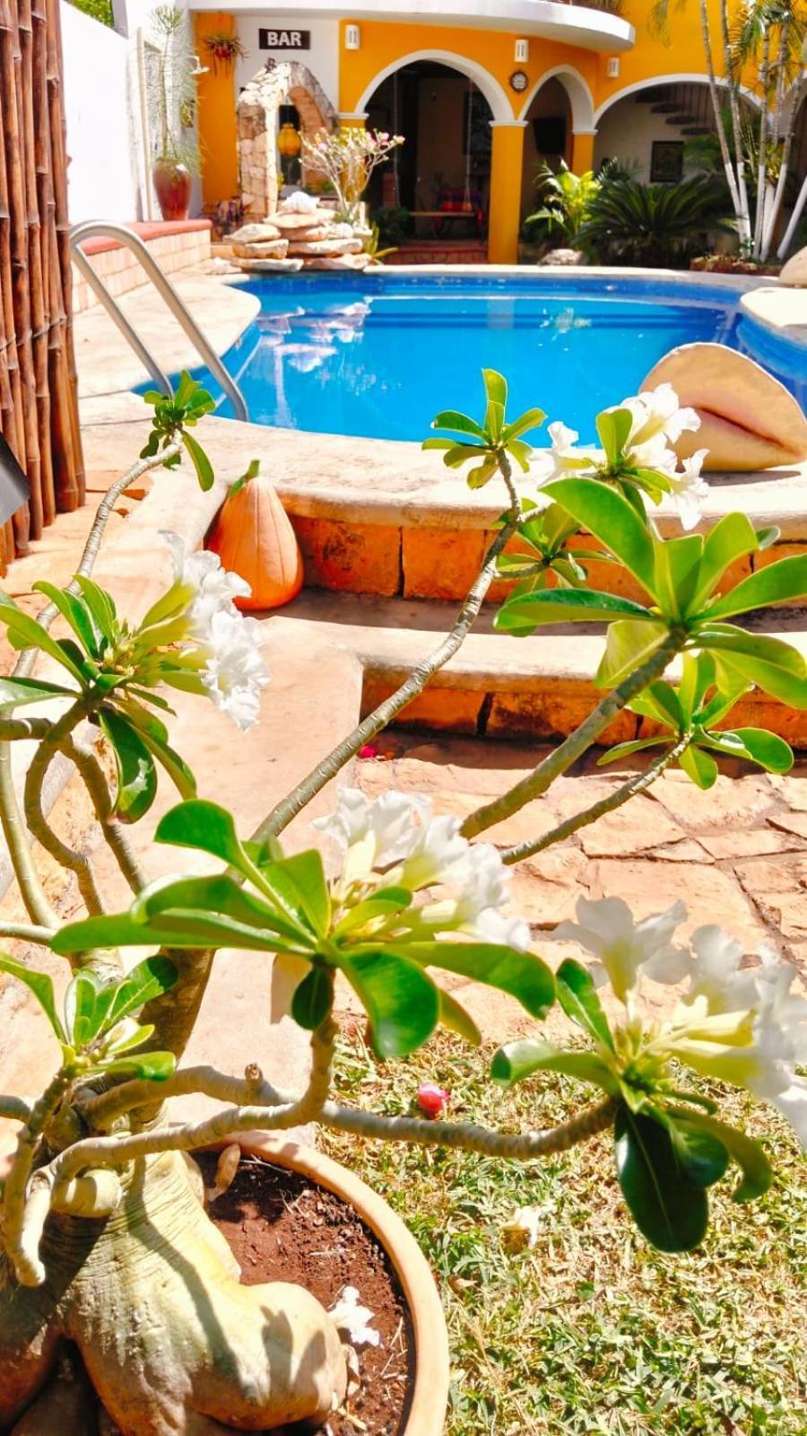 Quinta Rosita Bed & Breakfast Ticul Exterior photo
