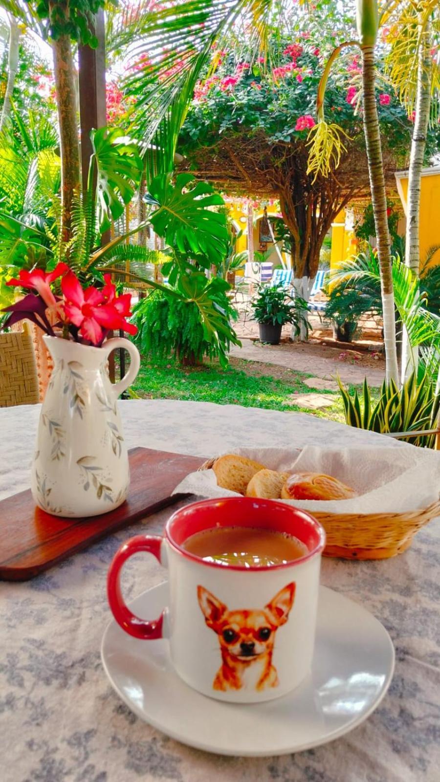 Quinta Rosita Bed & Breakfast Ticul Exterior photo